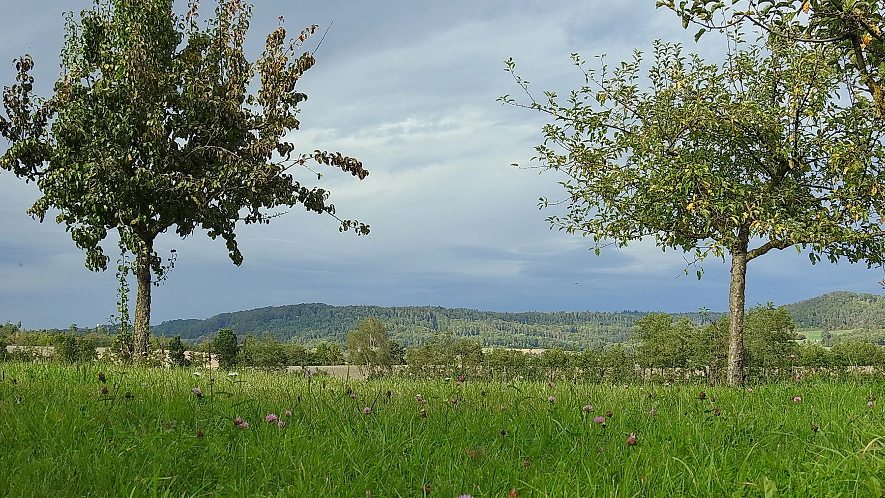 Aussicht über den Schwäbischen Wald am Ofenberg