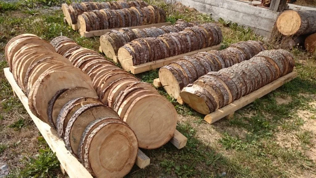 Holzscheiben und Baumstämme aus dem Sägewerk