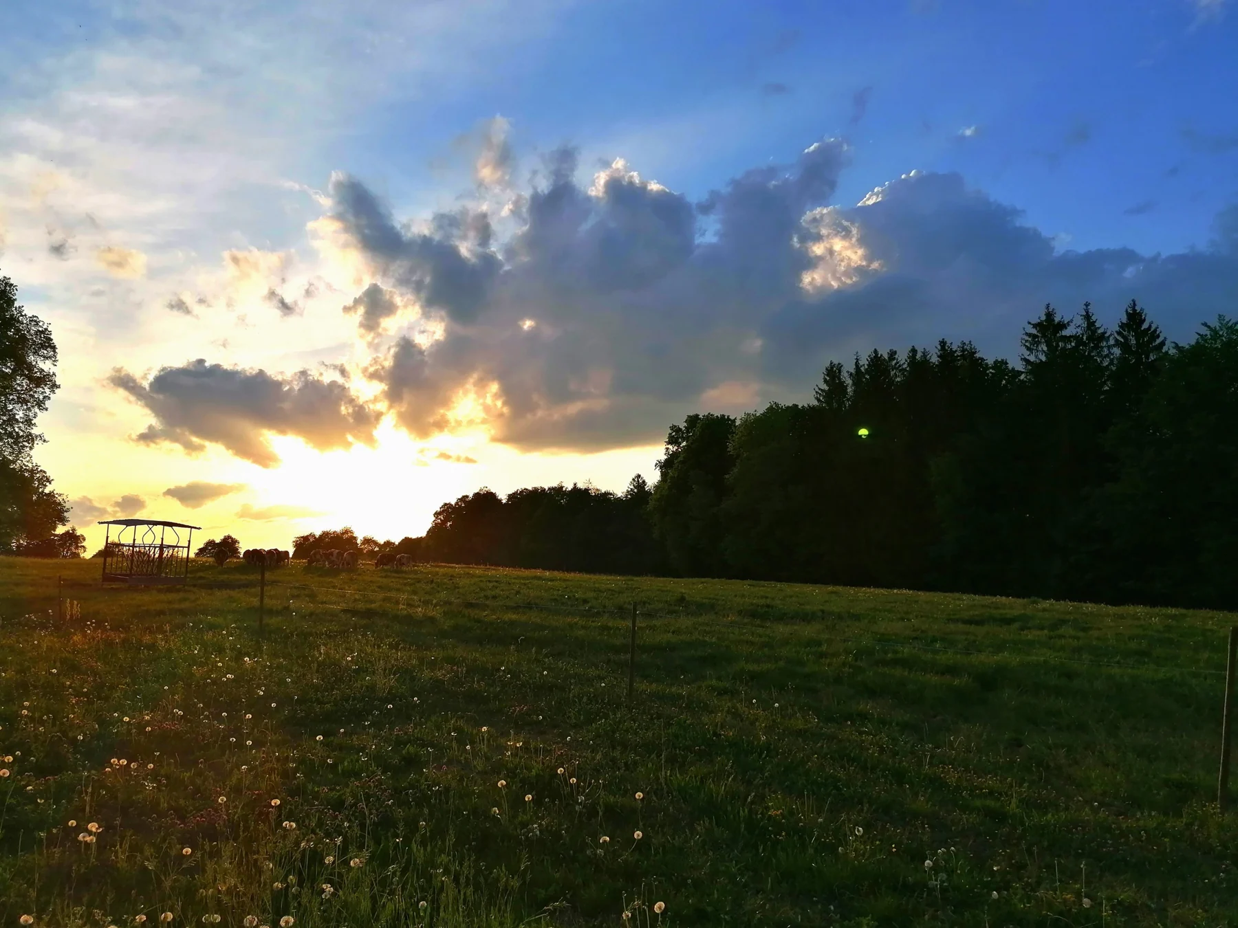 Die schönsten Abendstunden