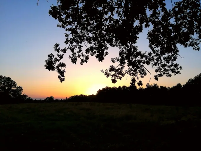 Abendlicht