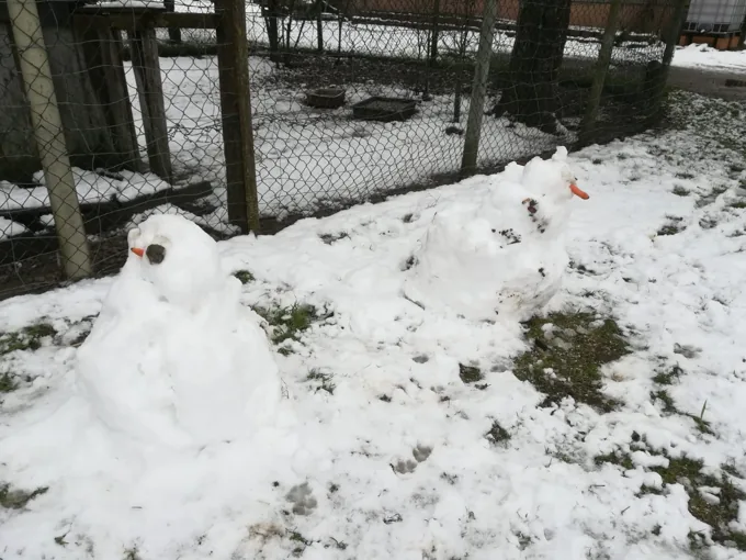 Winterwald