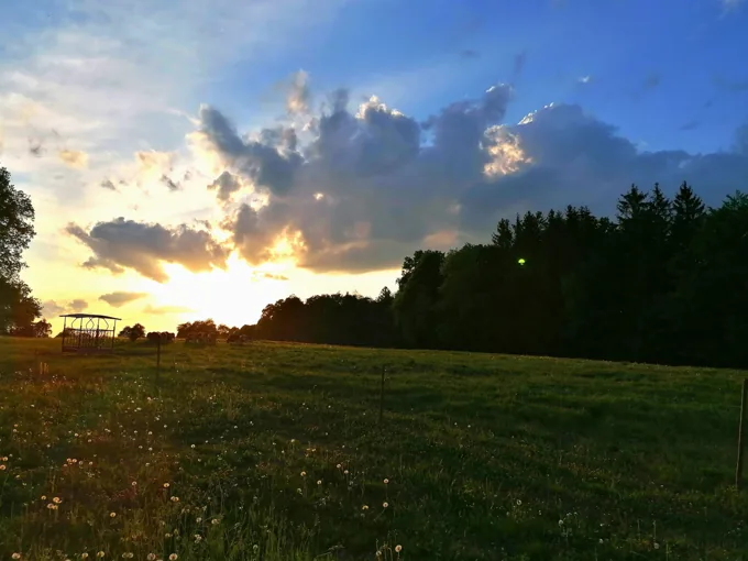 Abendsonne auf dem Ofenberg